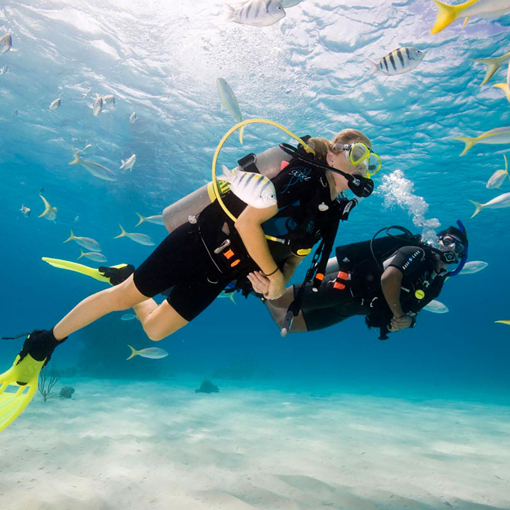 PADI Discover Scuba - Pool &amp; Boat Dive